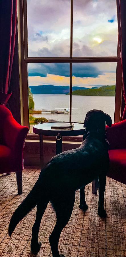 Cameron House On Loch Lomond Алекзандрия Экстерьер фото View of Lake George from the Fort William Henry Hotel